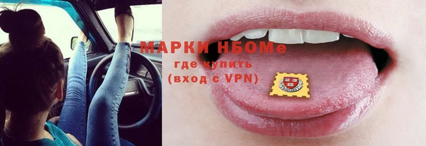 индика Надым