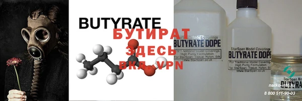 индика Надым