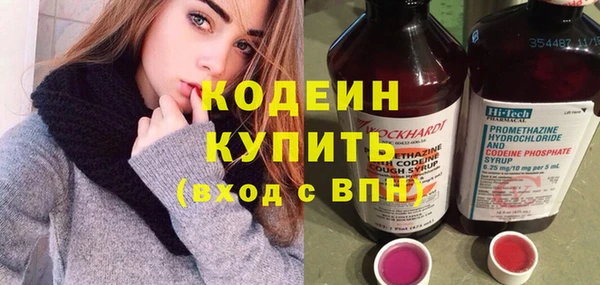 индика Надым