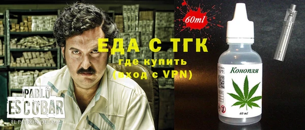 индика Надым